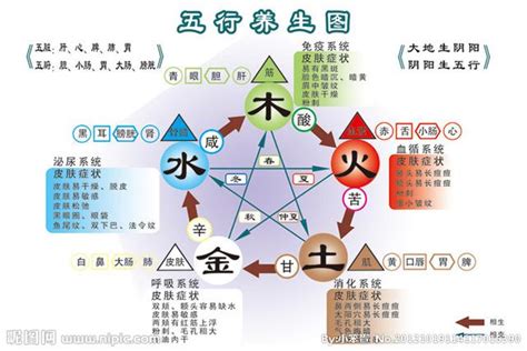 強金 強水|五行相生相剋:五行,四季五行,相生相剋,概念對應,五行數理,五行方。